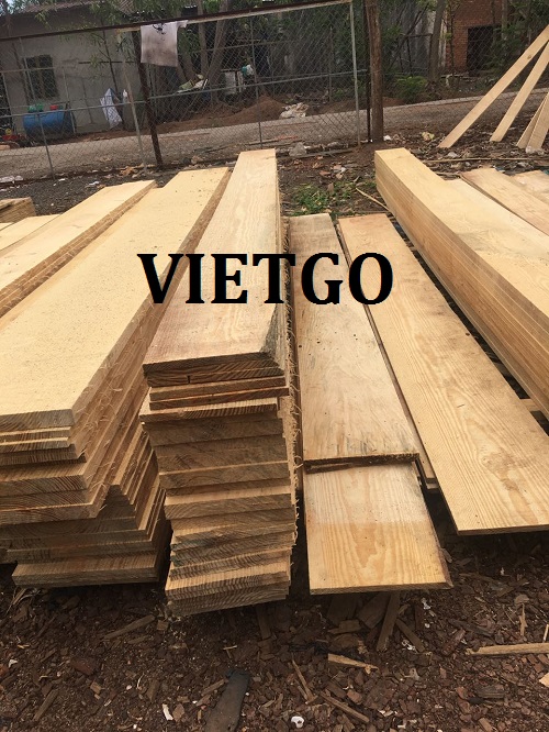Cơ Hội Giao Thương - Đơn Hàng Thường Xuyên – Cơ Hội Xuất Khẩu Gỗ Thông Xẻ Sang Thị Trường Ấn Độ.