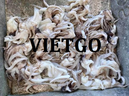 Cơ hội giao thương – Đơn hàng thường xuyên – Doanh nghiệp Malaysia cần nhập khẩu Bạch tuộc từ Việt Nam