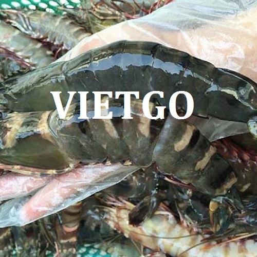 Cơ hội giao thương – Đơn hàng thường xuyên – Cơ hội xuất khẩu tôm sú sang thị trường Anh