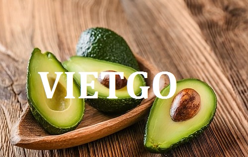 Cơ hội giao thương Đặc Biệt - Đơn Hàng Thường Xuyên -  Cơ hội xuất khẩu Quả Bơ sang thị trường Ấn Độ