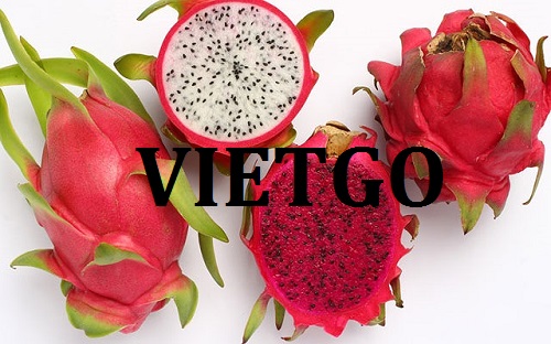 Cơ hội giao thương Đặc Biệt - Đơn Hàng Thường Xuyên -  Cơ hội xuất khẩu Thanh Long sang thị trường Ấn Độ