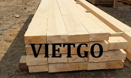 (Gấp) Cơ Hội Giao Thương - Cơ Hội Xuất Khẩu Gỗ Thông Xẻ Sang Thị Trường Qatar.