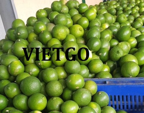 Cơ hội giao thương - Đơn hàng hàng tuần - Cơ hội xuất khẩu Chanh Xanh sang thị trường Dubai.