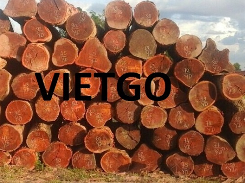 Cơ Hội Giao Thương Đặc Biệt - Đơn Hàng Thường Xuyên – Cơ Hội Xuất Khẩu Gỗ Căm Xe Tròn Sang Thị Trường Bangladesh.