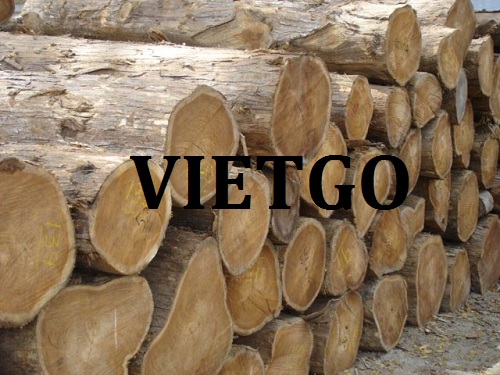 Cơ Hội Giao Thương - Đơn Hàng Thường Xuyên – Cơ Hội Xuất Khẩu Gỗ Teak Tròn Và Xẻ Sang Thị Trường Ấn Độ.