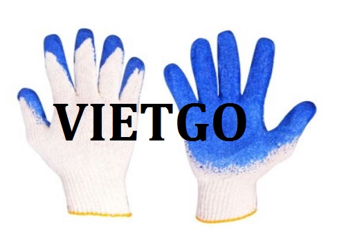 Cơ hội giao thương – Cơ hội xuất khẩu găng tay lao động tới thị trường Ba Lan