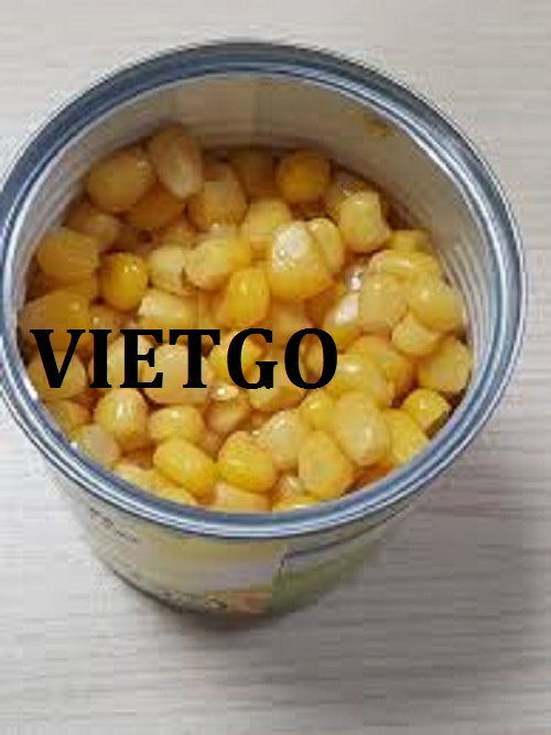 Cơ hội giao thương – Đơn hàng Thường Xuyên - Cơ hội xuất khẩu Ngô Ngọt sang thị trường Qatar.