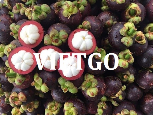 Cơ hội giao thương – Đơn hàng thường xuyên – Cơ hội xuất khẩu măng cụt sang thị trường Jordan.