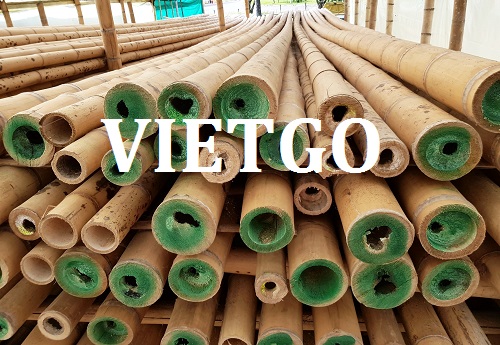 Cơ hội giao thương – Đơn hàng thường xuyên – Cơ hội xuất khẩu gậy tre sang thị trường Morocco