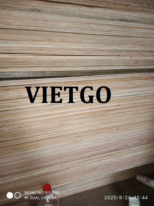 Cơ hội giao thương – Đơn hàng hàng tháng - Cơ hội xuất khẩu Gỗ dán sang Ấn Độ