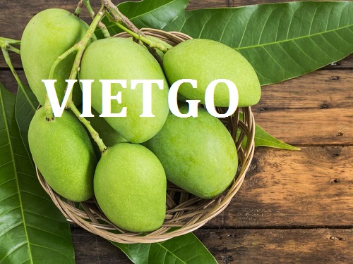 Cơ hội giao thương -  Cơ hội xuất khẩu Quả Xoài sang thị trường Indonesia