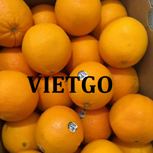 Cơ hội giao thương - Đơn Hàng Hàng Tuần -  Cơ hội xuất khẩu Cam Vàng sang thị trường Ả Rập Xê Út