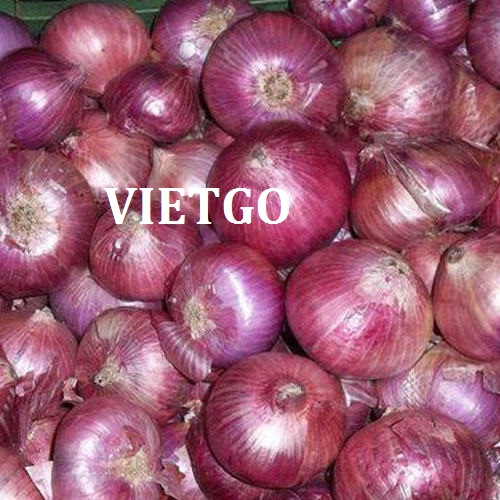 Cơ hội giao thương – Đơn hàng đặc biệt thường xuyên – Cơ hội xuất khẩu Hành tím sang thị trường Bangladesh.