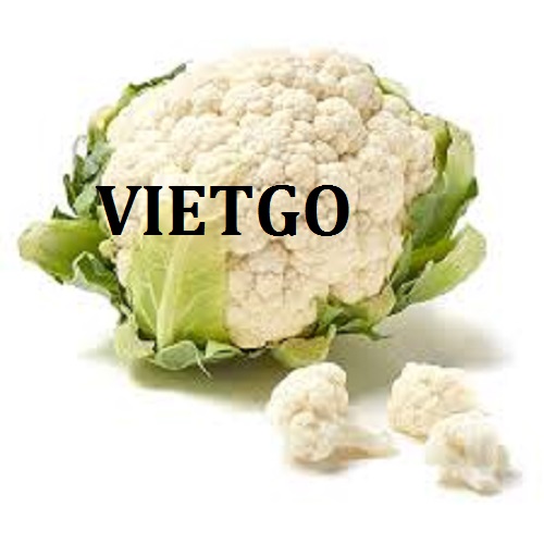 Cơ hội giao thương – Đơn hàng đặc biệt thường xuyên – Cơ hội xuất khẩu Súp lơ sang thị trường Bangladesh.