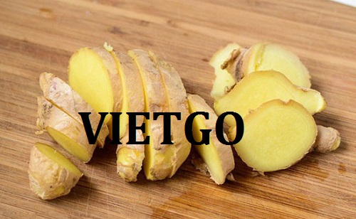 Cơ hội giao thương– Đơn hàng Thường xuyên - Cơ hội xuất khẩu Gừng tươi sang thị trường Bangladesh