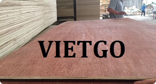 Cơ hội giao thương đặc biệt – Đơn hàng thường xuyên -  Cơ hội xuất khẩu gỗ dán đến từ vị khách hàng Malaysia