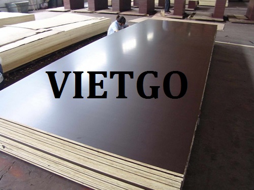 Cơ hội giao thương đặc biệt - Cơ hội xuất khẩu Gỗ dán phủ phim sang Ấn Độ