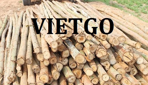 Cơ hội giao thương – Đơn hàng hàng tháng - Cơ hội xuất khẩu Gỗ bạch đàn tròn sang Iraq
