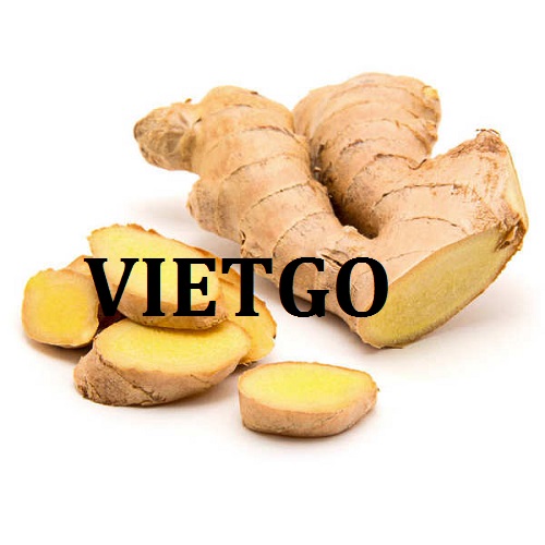 Cơ hội giao thương - Đơn Hàng Cả Năm -  Cơ hội xuất khẩu Gừng Tươi sang thị trường Bangladesh