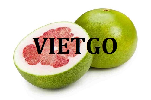Cơ hội giao thương - Đơn Hàng Hàng Tháng -  Cơ hội xuất khẩu Quả Bưởi sang thị trường Papua New Guinea