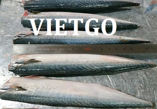 Cơ hội giao thương – Đơn hàng thường xuyên – Cơ hội xuất khẩu Cá Thu sang thị trường Thổ Nhỹ Kỳ