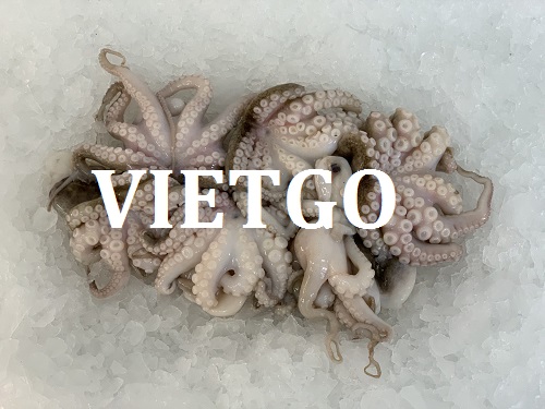 Cơ hội giao thương – Đơn hàng thường xuyên – Thương nhân Thổ Nhỹ Kỳ cần tìm nhà cung cấp Mực, Bạch tuộc tại Việt Nam