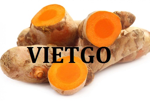 Cơ hội giao thương  - Đơn Hàng Thường Xuyên -  Cơ hội xuất khẩu Nghệ Tươi sang thị trường UAE