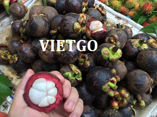 Cơ hội giao thương - Đơn hàng hàng tuần - Cơ hội xuất khẩu Măng cụt sang thị trường Dubai.