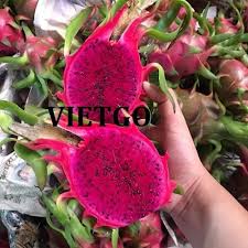Cơ hội giao thương – Đơn hàng thường xuyên – Cơ hội xuất khẩu Thanh long sang thị trường Bangladesh.
