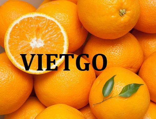 Cơ hội giao thương - Đơn Hàng Thường Xuyên -  Cơ hội xuất khẩu Cam Vàng sang thị trường Ấn Độ