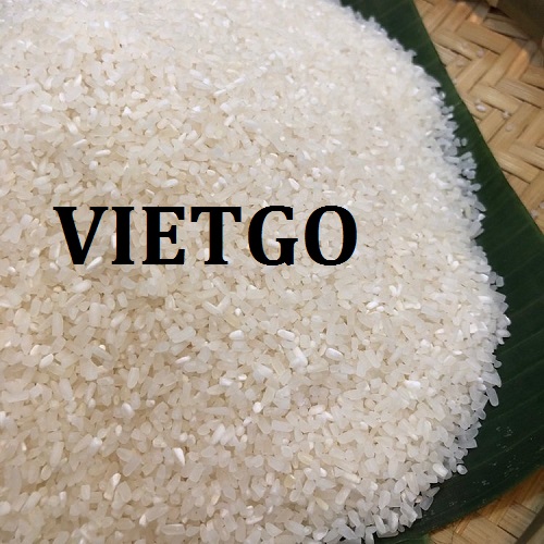 Cơ hội giao thương - Đơn Hàng Thường Xuyên -  Cơ hội xuất khẩu Gạo sang thị trường Ả Rập Xê Út