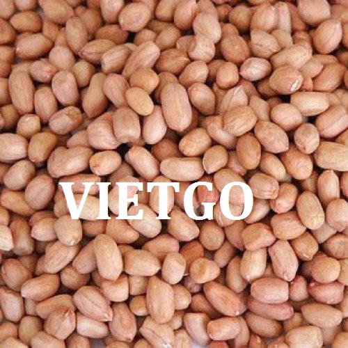 Cơ hội giao thương – Đơn hàng cả năm - Cơ hội xuất khẩu Lạc Nhân sang thị trường Dubai.