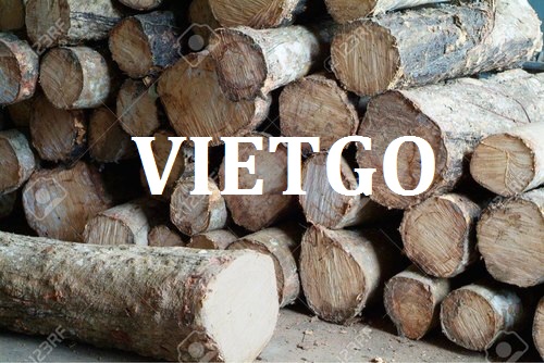 Cơ Hội Giao Thương - Đơn Hàng Thường Xuyên – Cơ Hội Xuất Khẩu Gỗ Cao Su Tròn Sang Thị Trường Sri Lanka.