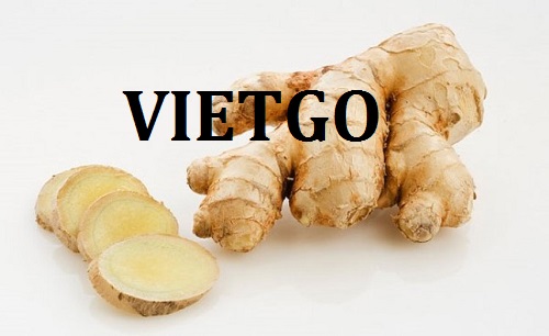 Cơ hội giao thương - Cơ hội xuất khẩu Gừng sang thị trường Ấn Độ