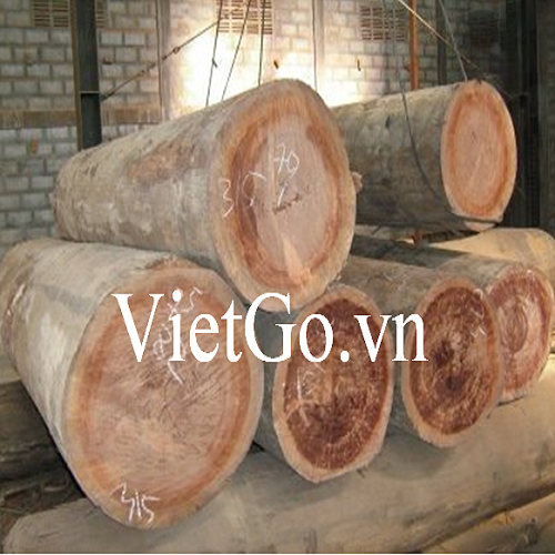 Cơ Hội Giao Thương - Đơn Hàng Thường Xuyên – Cơ Hội Xuất Khẩu Gỗ Dầu Tròn Sang Thị Trường Bangladesh.