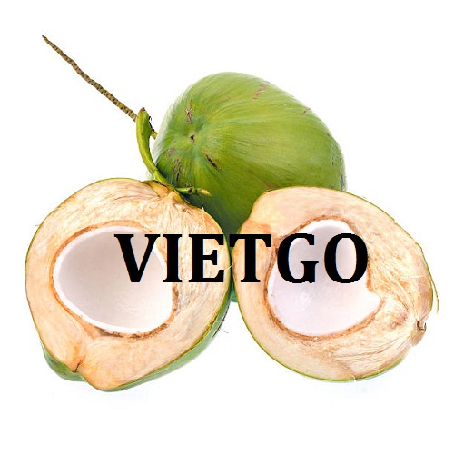 Cơ hội giao thương - Đơn Hàng Hàng Tuần -  Cơ hội xuất khẩu Dừa Tươi sang thị trường UAE