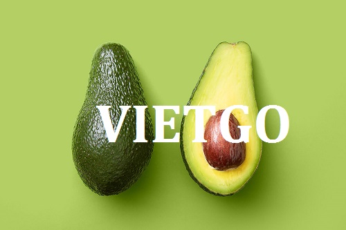 Cơ hội giao thương - Đơn Hàng Thường Xuyên -  Cơ hội xuất khẩu Bơ Organic sang thị trường Hà Lan