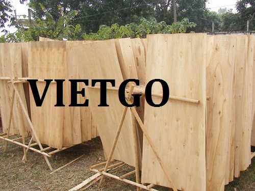 Cơ hội giao thương – Đơn hàng hàng tháng - Cơ hội xuất khẩu Ván bóc bạch đàn sang Campuchia