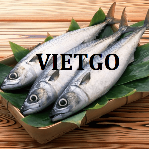 Cơ hội giao thương – Cơ hội xuất khẩu Cá Thu sang thị trường Thái Lan