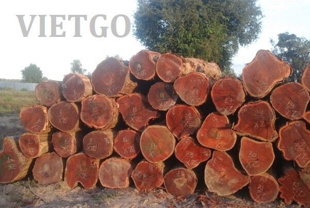 Cơ Hội Giao Thương - Đơn Hàng Thường Xuyên – Cơ Hội Xuất Khẩu Gỗ Căm Xe Tròn Sang Thị Trường Thái Lan.