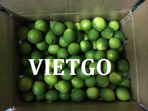Cơ hội giao thương - Đơn hàng đặc biệt thường xuyên - Cơ hội xuất khẩu Chanh xanh sang thị trường UAE