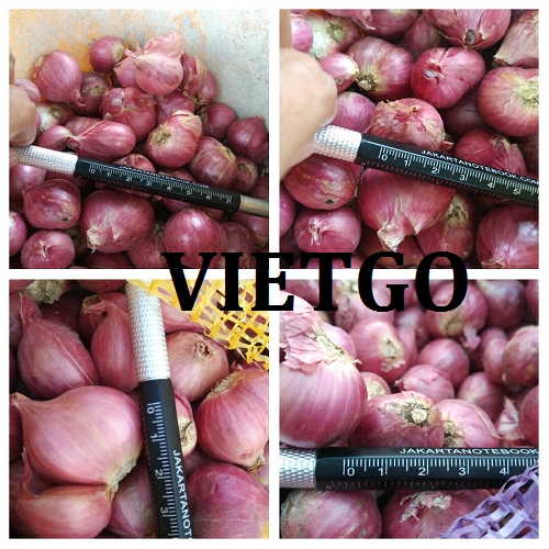 Cơ hội giao thương - Đơn hàng đặc biệt thường xuyên - Cơ hội xuất khẩu Hành tím sang thị trường UAE
