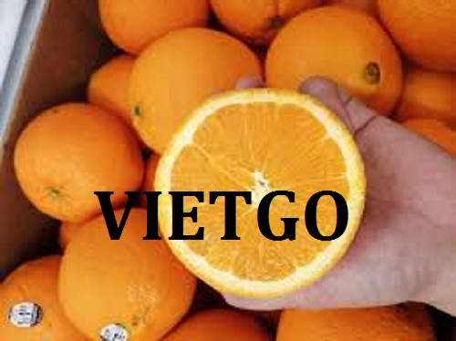 Cơ hội giao thương - Đơn Hàng Thường Xuyên -  Cơ hội xuất khẩu Quả Cam sang thị trường Nga