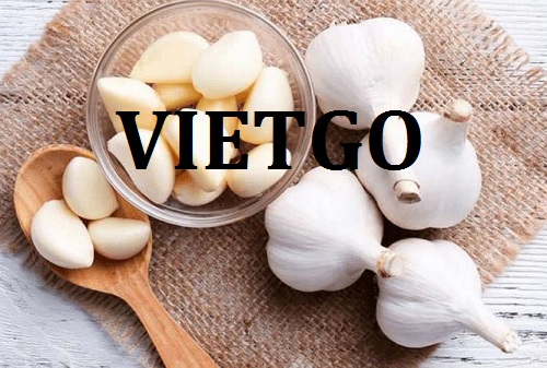 Cơ hội giao thương - Đơn Hàng Thường Xuyên -  Cơ hội xuất khẩu Tỏi Trắng sang thị trường Mexico