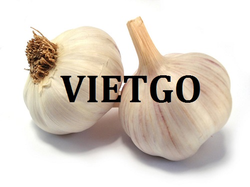 Cơ hội giao thương - Đơn Hàng Hàng Tháng -  Cơ hội xuất khẩu Tỏi Trắng sang thị trường Mỹ