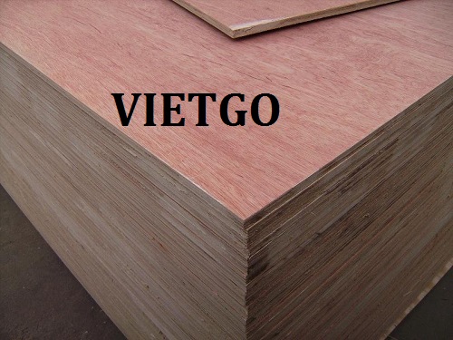 Cơ hội giao thương – Đơn hàng hàng tháng – Cơ hội xuất khẩu gỗ dán sang thị trường Ấn Độ