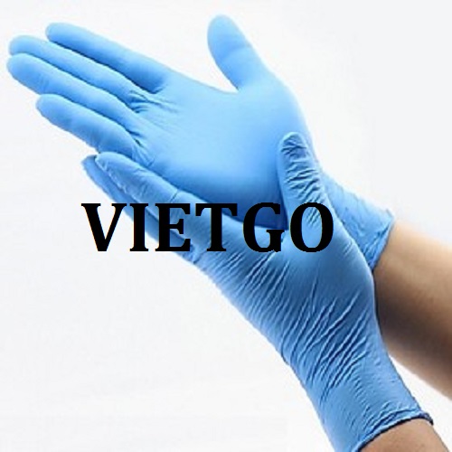 Cơ hội giao thương – Đơn hàng thường xuyên - Cơ hội xuất khẩu găng tay cao su sang thị trường Mỹ