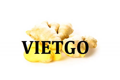 Cơ hội giao thương - Đơn Hàng Hàng Tuần -  Cơ hội xuất khẩu Gừng Tươi sang thị trường UAE