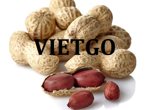 Cơ hội giao thương  - Đơn Hàng Cả Năm -  Cơ hội xuất khẩu Lạc Nhân sang thị trường Trung Quốc