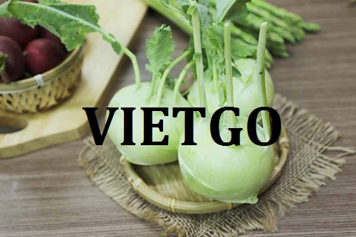 Cơ hội giao thương Đặc Biệt  - Đơn Hàng Thường Xuyên -  Cơ hội xuất khẩu Su Hào sang thị trường Bangladesh